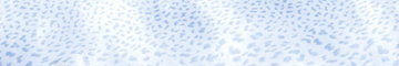 GIAGUARO MASK Ocean Blu Lapp./Rett. 20x120