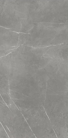 Atlas Concorde Russia Forte Dei Marmi Elegant Grey Cerato 60×120