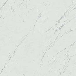 Marvel Carrara Pure 60x60