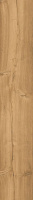 Gravita Lyptus Honey 20×120
