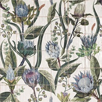 Mainzu Mural Protea 20х20 (комп/36шт)