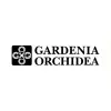 Gardenia Orchidea
